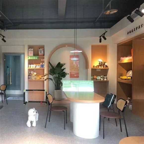 它与我宠物生活集合店:重庆城区渝北区北部新区附近