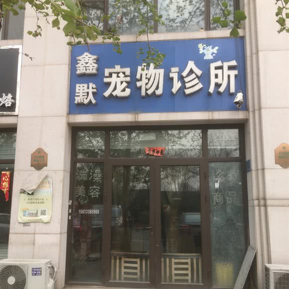 鑫默宠物诊所:石家庄市长安区桃园附近