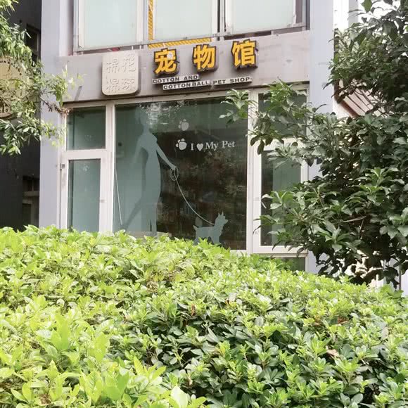 宠物馆:重庆城区渝北区北部新区附近