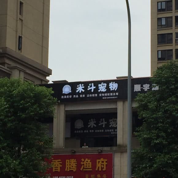 米斗狗狗:重庆城区渝北区北部新区附近