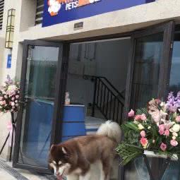 趣宠基地:重庆城区渝北区北部新区附近