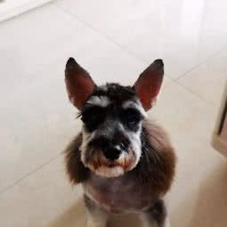 大熊宠物生活馆(重庆照母山店):重庆城区渝北区北部新区附近