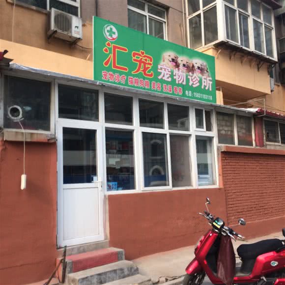 汇宠宠物诊所:石家庄市长安区桃园附近