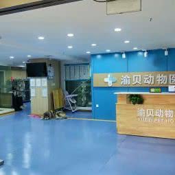 渝贝动物诊所:重庆城区渝北区北部新区附近