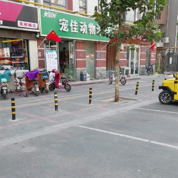 宠佳动物诊所:石家庄市长安区桃园附近