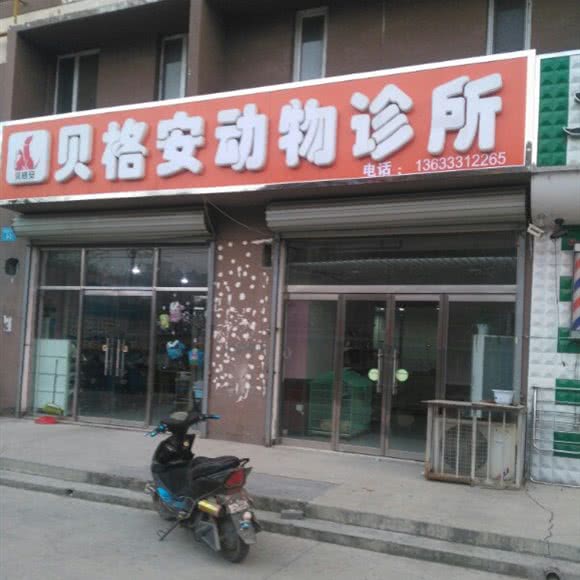 贝格安动物诊所:石家庄市长安区桃园附近