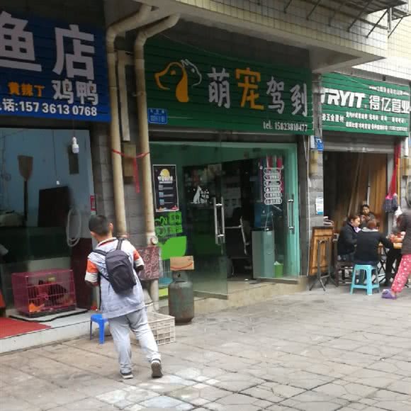 萌宠驾到:重庆城区渝北区冉家坝附近