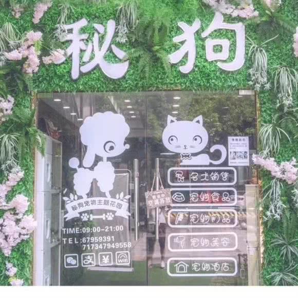 秘狗宠物:重庆城区渝北区新牌坊附近