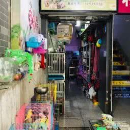 健红宠物店:重庆城区渝北区两路附近