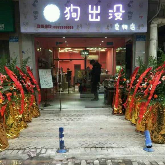 狗出没宠物店:重庆城区渝北区龙溪镇附近