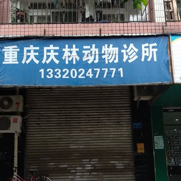 庆林动物诊所:重庆城区渝北区龙溪镇附近