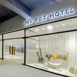 M+宠物会馆:重庆城区渝北区龙头寺附近