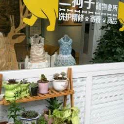 凯旋萌宠会所:重庆城区渝北区龙头寺附近