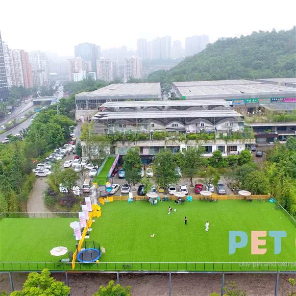 PET ONE壹宠物乐园:重庆城区渝北区龙头寺附近