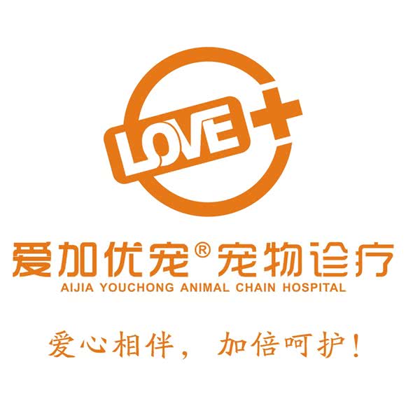 爱加动物医院猫科·眼科(江北店):重庆城区渝北区龙头寺附近