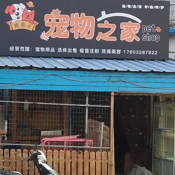 熊孩子宠物之家:石家庄市长安区岔河附近