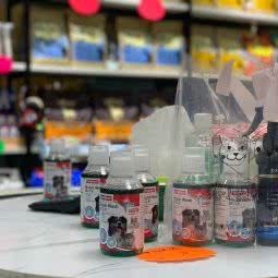 猫小姐狗老先生:重庆城区渝北区黄泥塝附近