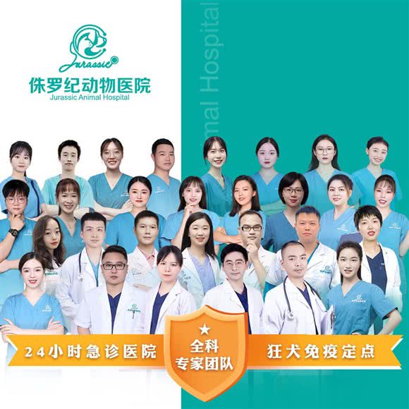 24h?侏罗纪动物医院猫科·犬科·老年病专科?腔镜微创中心(翼龙店):重庆城区渝北区人和附近