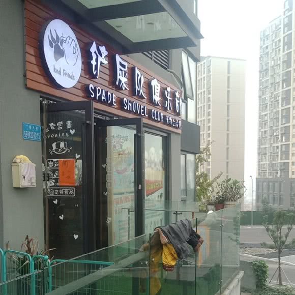 铲屎队俱乐部宠物生活馆:重庆城区渝北区回兴附近