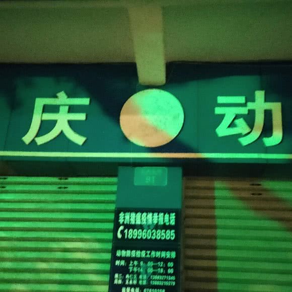 回兴街道办事处畜牧兽医站:重庆城区渝北区回兴附近