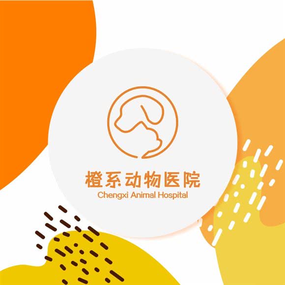 橙系动物医院(急重症转诊中心):重庆城区渝北区爱琴海购物广场附近