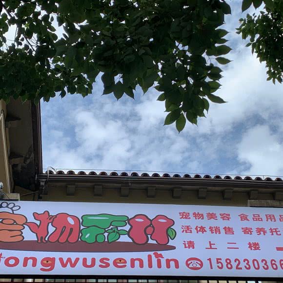 宠物森林(西区店):重庆城区渝北区空港新城附近