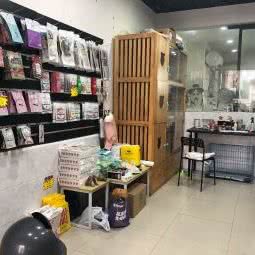 橘子宠物:重庆城区渝北区空港广场附近