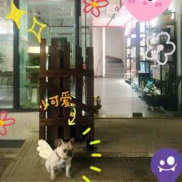 喵里个汪:重庆城区渝北区龙湖江与城附近