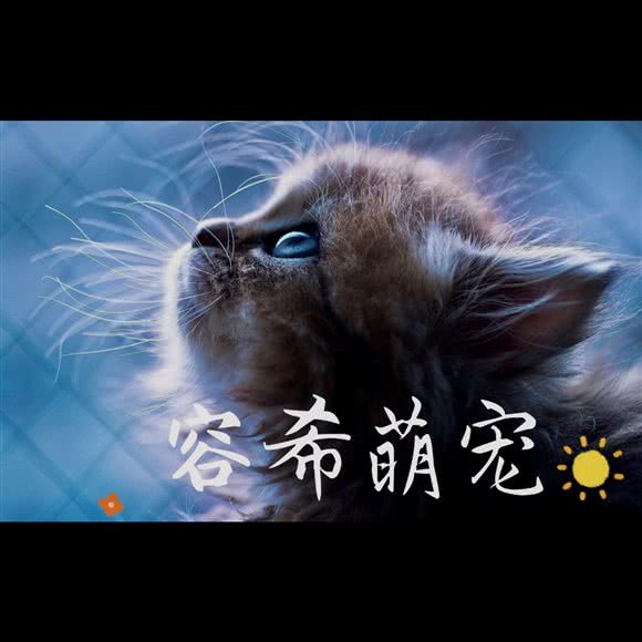 容希猫狗萌宠专售(重庆旗舰店):重庆城区渝北区龙湖江与城附近