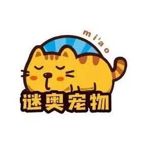 谜奥宠物猫咪生活馆:重庆城区渝北区龙湖/水晶郦城附近