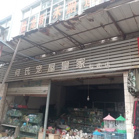 何氏宠屋皇家专卖店:重庆城区巴南区李家沱附近