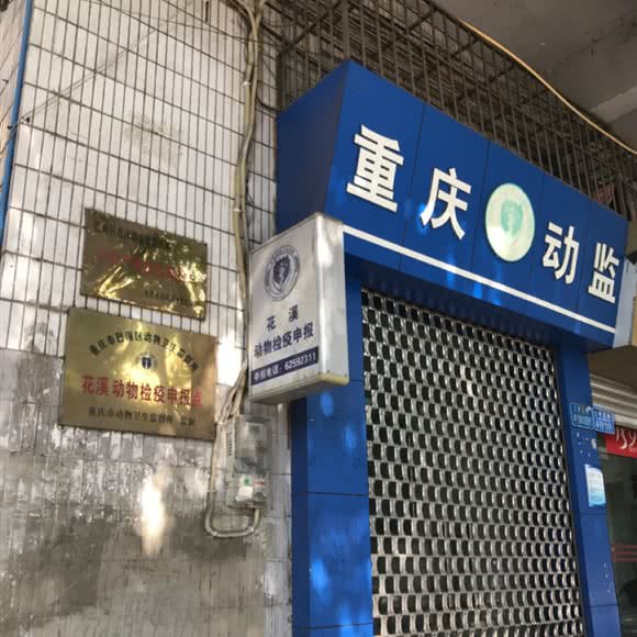 花溪动物检疫申报:重庆城区巴南区李家沱附近