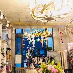 懒墅宠物店:重庆城区巴南区龙洲湾附近