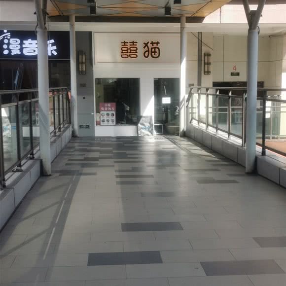 囍猫:重庆城区巴南区龙洲湾附近