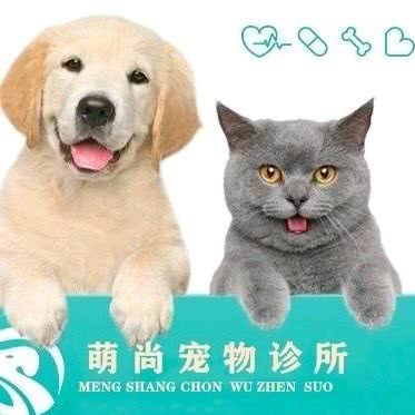萌尚宠物诊所:重庆城区巴南区鱼洞附近