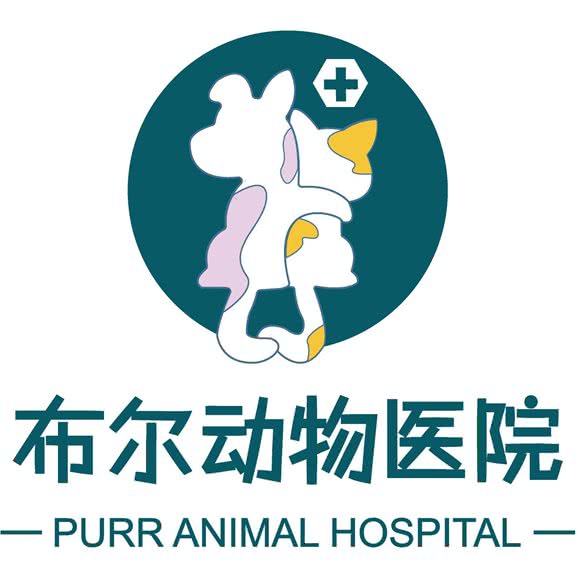 布尔动物医院:重庆城区巴南区融汇附近