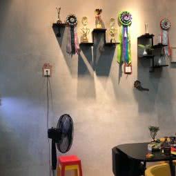 盈逸私宠:重庆城区巴南区红光附近