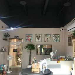 猫左狗左宠物店:重庆城区巴南区巴滨路附近