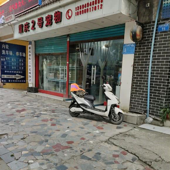 重庆2号宠物:重庆城区黔江区黔江区附近