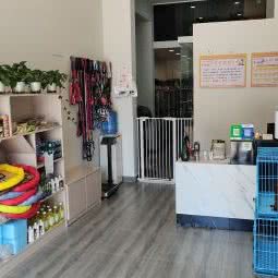 柏邻狗狗:重庆城区长寿区凤城街道附近