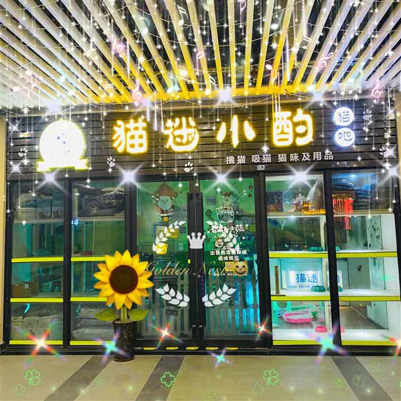 猫迷小酌猫吧:重庆城区长寿区凤城街道附近