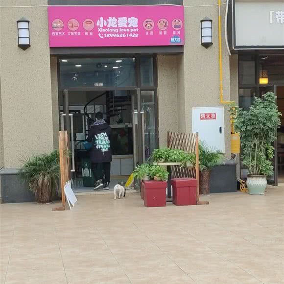 小龙爱宠(恒大店):重庆城区江津区江津区附近