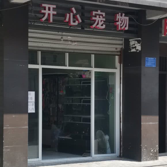 开心宠物:重庆城区江津区江津区附近