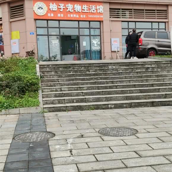 柚子宠物生活馆:重庆城区江津区江津区附近