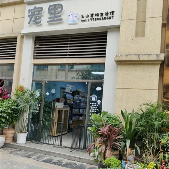 宠里火山宠物生活馆:重庆城区江津区江津区附近