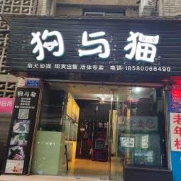 狗与猫:重庆城区江津区江津区附近