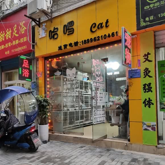 哈啰cat:重庆城区合川区合阳城街道附近