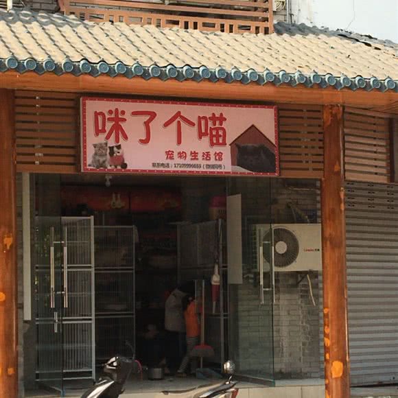 咪了个喵宠物生活馆:重庆城区合川区合阳城街道附近
