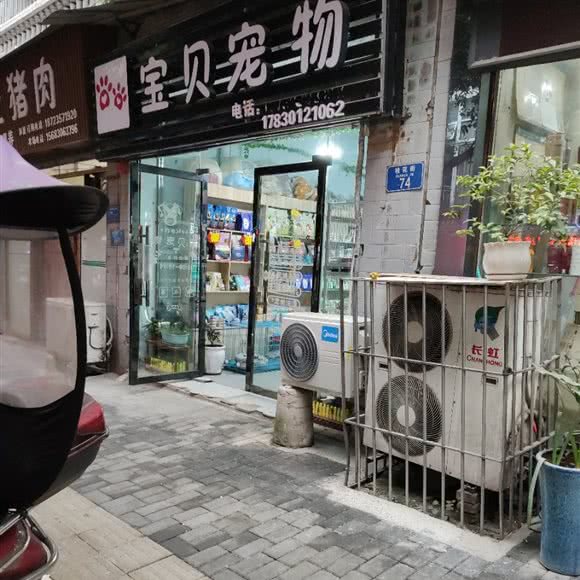 宝贝宠物:重庆城区合川区合阳城街道附近