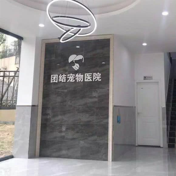 团结宠物医院(合川店):重庆城区合川区合阳城街道附近